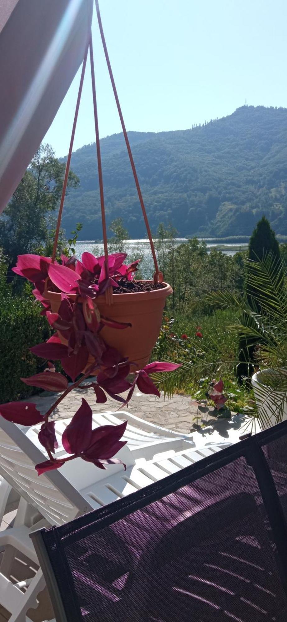 Casa Irina Piatra Neamţ Exterior foto