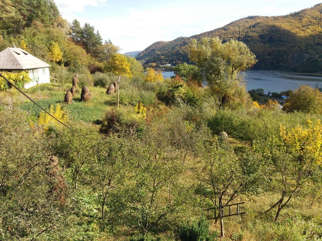 Casa Irina Piatra Neamţ Exterior foto