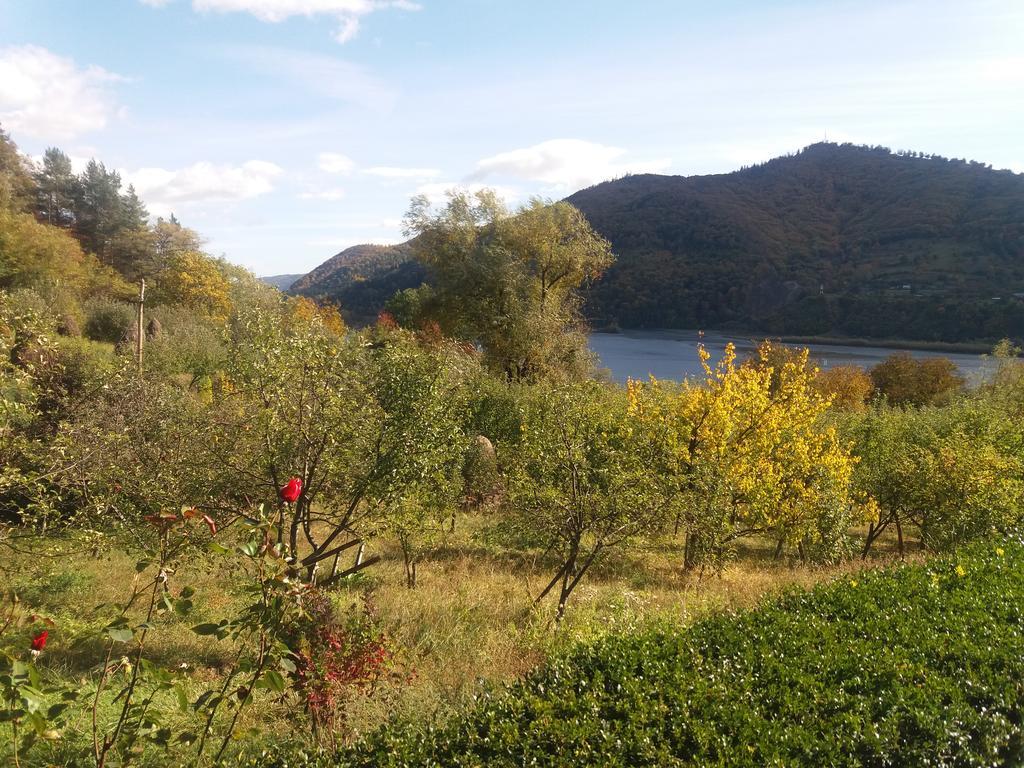 Casa Irina Piatra Neamţ Exterior foto