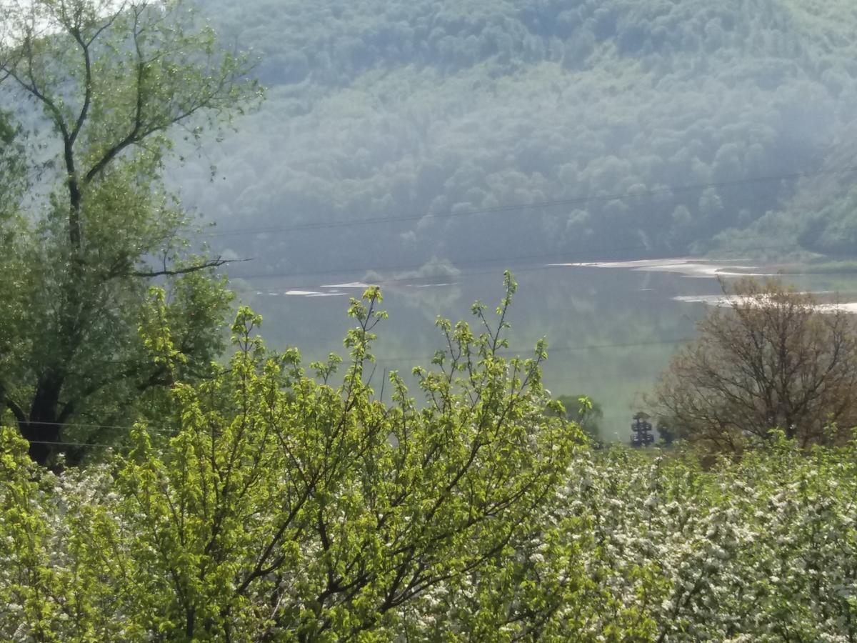 Casa Irina Piatra Neamţ Exterior foto